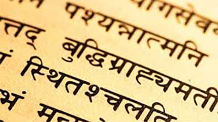 Hindi Language Seminar